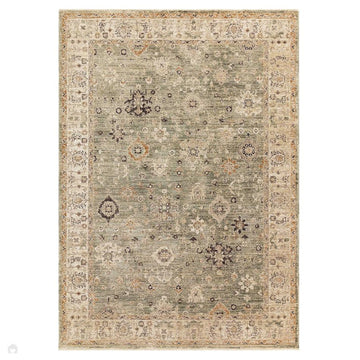Heriz HE04 Ornate Traditional Persian Vintage Distressed Shimmer Tonal Textured Hi-Lo Space-Dyed Polyester Low-Profile Short Pile Sage Green Rug-Asiatic Carpets-Rug Love - The Most Loved Rug Store